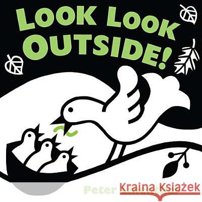 Look Look Outside! Peter Linenthal 9780803737297 Dial Books