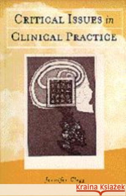 Critical Issues in Clinical Practice Jennifer Clegg 9780803975552 SAGE PUBLICATIONS LTD