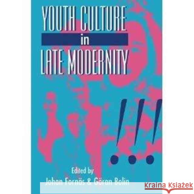 Youth Culture in Late Modernity  9780803988989 SAGE PUBLICATIONS LTD