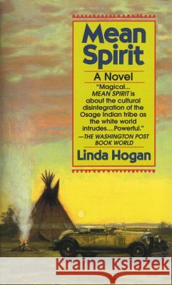 Mean Spirit Linda Hogan 9780804108638 Ivy Books
