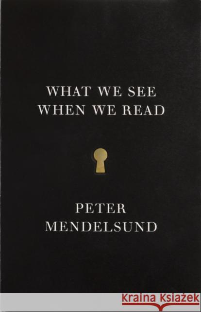 What We See When We Read Peter Mendelsund 9780804171632