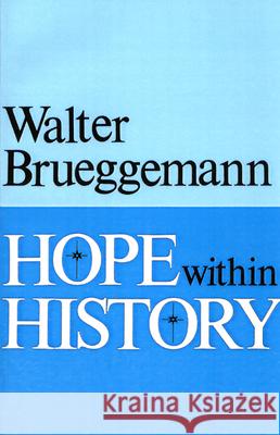 Hope within History Walter Brueggemann 9780804209182 Westminster/John Knox Press,U.S.