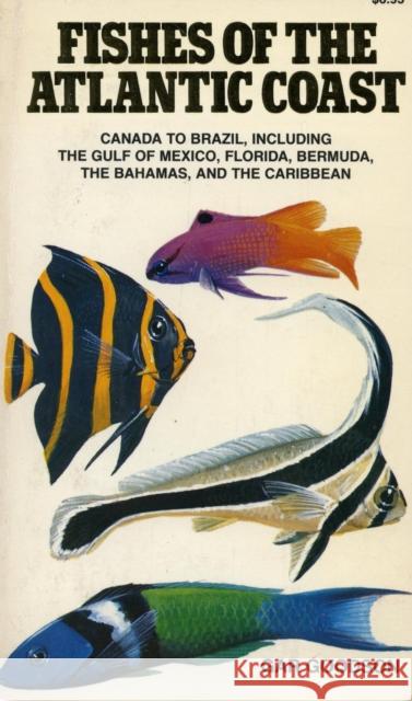 Fishes of the Atlantic Coast: Canada to Brazil, Including the Gulf of Mexico, Florida, Bermuda, the Bahamas, and the Caribbean Goodson, Gar 9780804712682 Stanford University Press