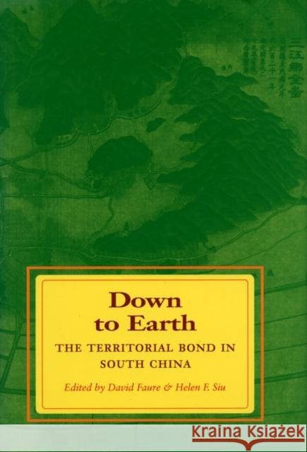 Down to Earth: The Territorial Bond in South China Faure, David 9780804724340 Stanford University Press
