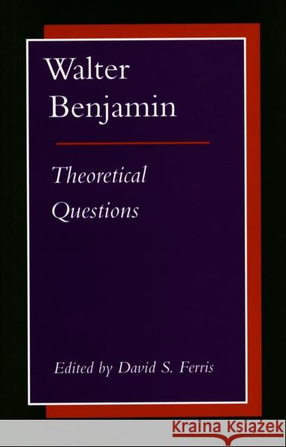 Walter Benjamin: Theoretical Questions David S. Ferris 9780804725705 Stanford University Press