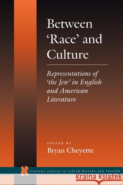 Between 'Race' and Culture: Representations of 'The Jew' in English and American Literature Cheyette, Bryan 9780804726351