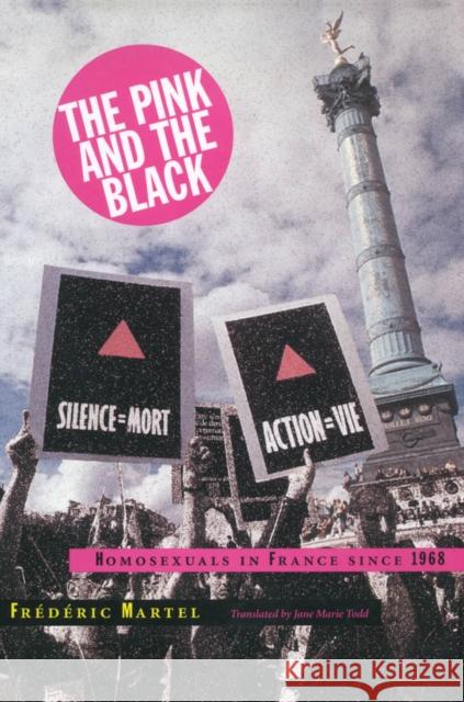 Pink and the Black: Homosexuals in France Since 1968 Martel, Frédéric 9780804732741 Stanford University Press