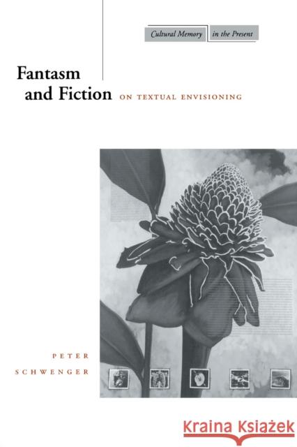 Fantasm and Fiction: On Textual Envisioning Peter Schwenger 9780804734721 Stanford University Press