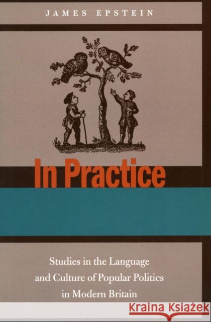 In Practice: Studies in the Language and Culture of Popular Politics in Modern Britain Epstein, James 9780804746625