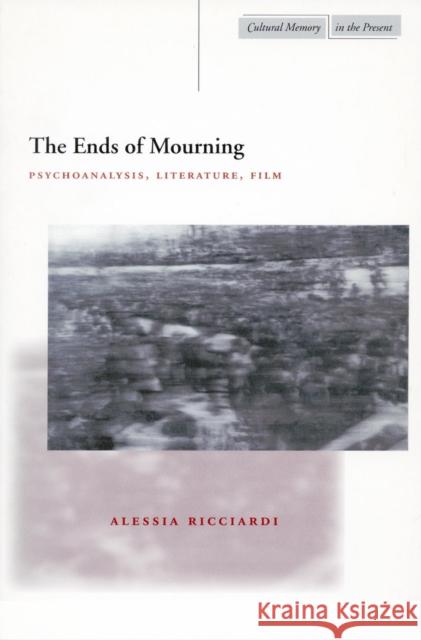 The Ends of Mourning: Psychoanalysis, Literature, Film Ricciardi, Alessia 9780804747769