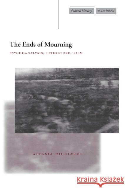 The Ends of Mourning: Psychoanalysis, Literature, Film Ricciardi, Alessia 9780804747776