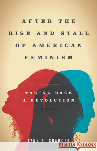 After the Rise and Stall of American Feminism: Taking Back a Revolution Lynn S. Chancer 9780804774376 Stanford University Press