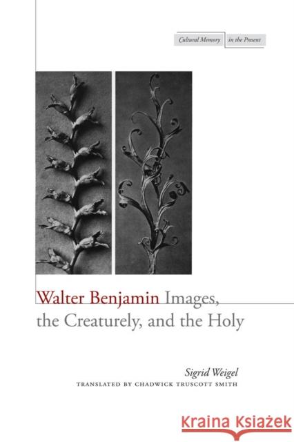 Walter Benjamin: Images, the Creaturely, and the Holy Weigel, Sigrid 9780804780599 Stanford University Press