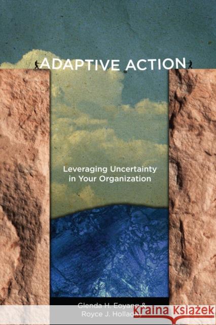 Adaptive Action: Leveraging Uncertainty in Your Organization Eoyang, Glenda H. 9780804787116 Stanford University Press