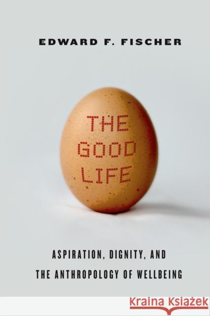 The Good Life: Aspiration, Dignity, and the Anthropology of Wellbeing Edward Fischer 9780804792530