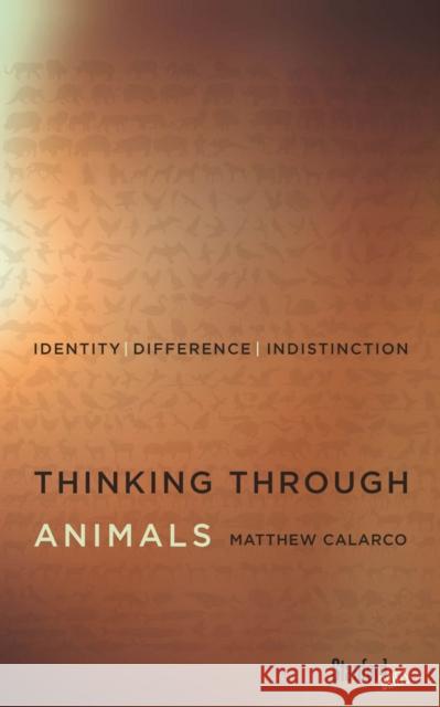 Thinking Through Animals: Identity, Difference, Indistinction Matthew Calarco 9780804794046 Stanford Briefs