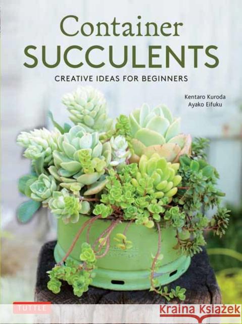 Container Succulents: Creative Ideas for Beginners Kuroda, Kentaro 9780804851053 Tuttle Publishing