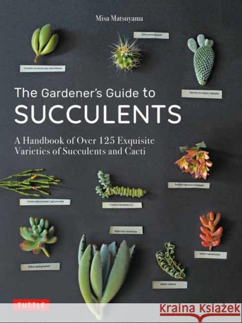 The Gardener's Guide to Succulents: A Handbook of Over 125 Exquisite Varieties of Succulents and Cacti Matsuyama, Misa 9780804851060 Tuttle Publishing