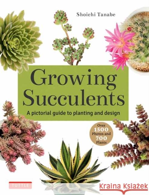 Growing Succulents: A Pictorial Guide to Planting and Design (Over 1,500 photos and 700 plants) Shoichi Tanabe 9780804855532 Tuttle Publishing