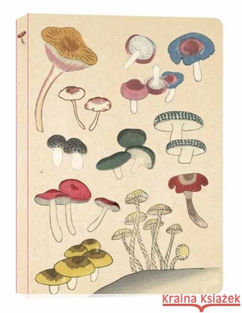 Healing Mushrooms Lined Paperback Journal: Blank Notebook with Pocket Tuttle Studio 9780804855662 Tuttle Publishing