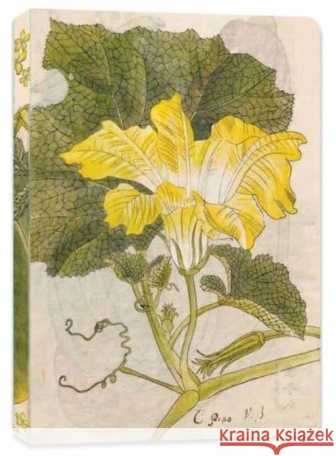 Japanese Squash Blossom Lined Paperback Journal: Blank Notebook with Pocket Tuttle Studio 9780804855792