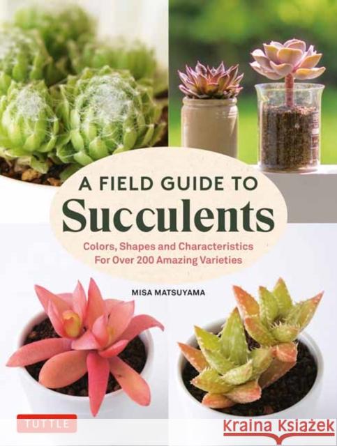 A Field Guide to Succulents: Colors, Shapes and Characteristics for Over 200 Amazing Varieties Misa Matsuyama 9780804855976 Tuttle Publishing