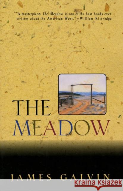 The Meadow James Galvin 9780805027037