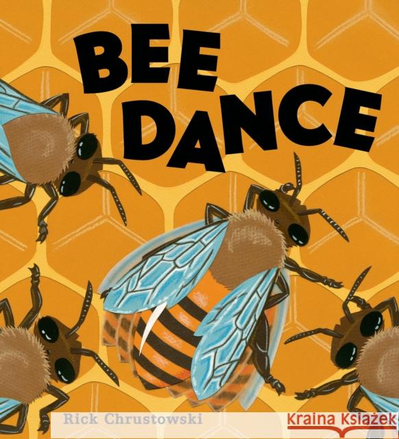 Bee Dance Rick Chrustowski Rick Chrustowski 9780805099195 Henry Holt & Company