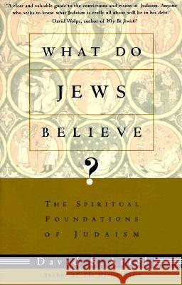 What Do Jews Believe?: The Spiritual Foundations of Judaism David S. Ariel 9780805210590 Schocken Books