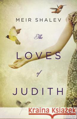 Loves of Judith PB Meir Shalev Barbara Harshav 9780805242867 Schocken Books Inc