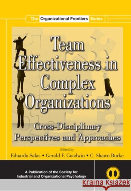 Team Effectiveness in Complex Organizations: Cross-Disciplinary Perspectives and Approaches Salas, Eduardo 9780805858815