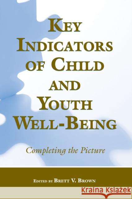 Key Indicators of Child and Youth Well-Being: Completing the Picture Brown, Brett V. 9780805863130 Lawrence Erlbaum Associates