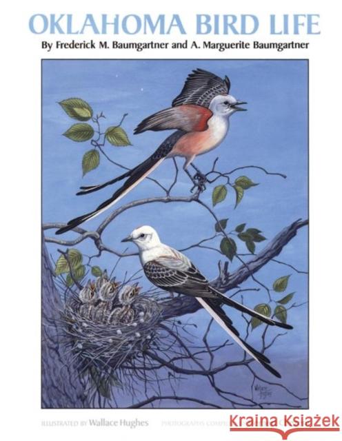 Oklahoma Bird Life Frederick Baumgartner Marguerite Baumgartner A. Marguerite Baumgartner 9780806117928 University of Oklahoma Press