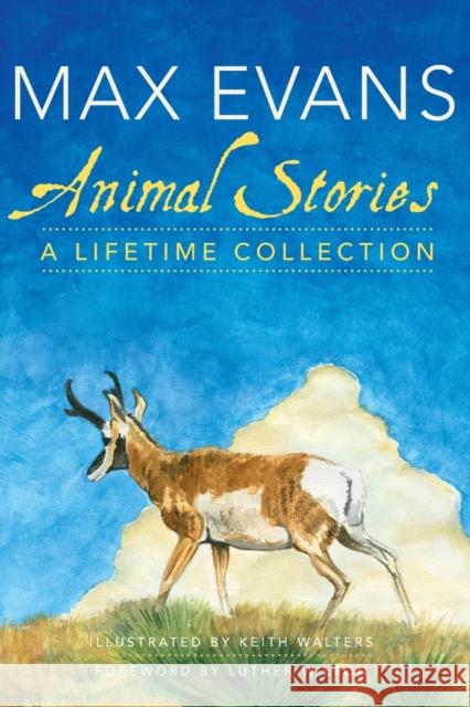 Animal Stories: A Lifetime Collection Max Evans Keith Walters 9780806143668