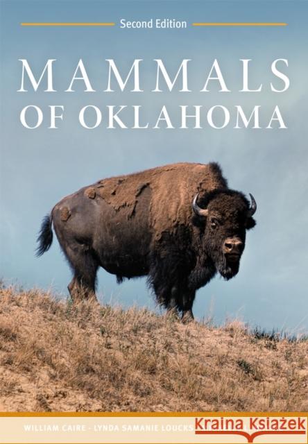 Mammals of Oklahoma Michelle L Haynie 9780806193694 University of Oklahoma Press
