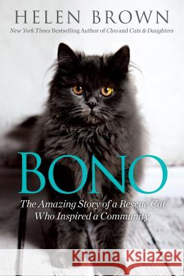 Bono: The Amazing Story of a Rescue Cat Who Inspired a Community Helen Brown 9780806538457 Citadel Press