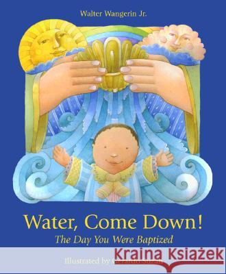 Water Come Down: The Day You Were Baptized Wangerin, Walter 9780806637112