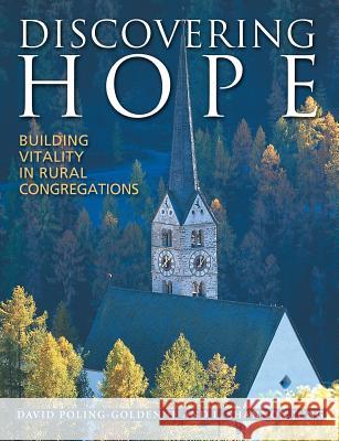 Discovering Hope Building Vita David Polling-Goldenne David Poling-Goldenne David Poling Goldenne 9780806641478 Augsburg Books