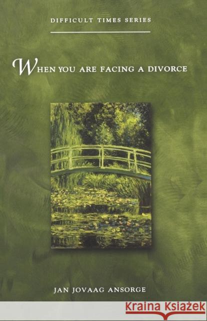 When You Are Facing a Divorce Ansorge, Jan Jovaag 9780806643618