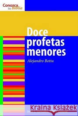 Los Doce Profetas Menores: The Twelve Minor Prophets Botta, Alejandro F. 9780806680729 Augsburg Fortress Publishers
