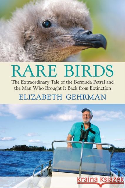 Rare Birds: The Extraordinary Tale of the Bermuda Petrel and the Man Who Brought It Back from Extinction Elizabeth Gehrman 9780807010785 Beacon Press (MA)
