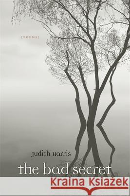 Bad Secret: Poems Harris, Judith 9780807131398