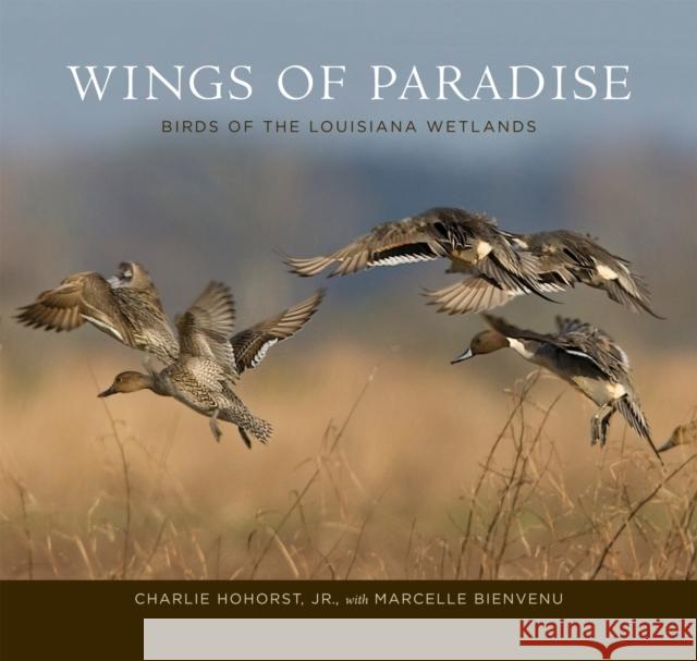 Wings of Paradise: Birds of the Louisiana Wetlands Charlie Hohorst Charlie Hohorst Marcelle Bienvenu 9780807134504
