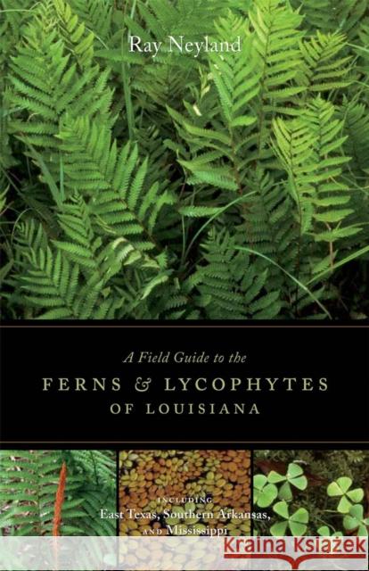 A Field Guide to the Ferns and Lycophytes of Louisiana Neyland, Ray 9780807137857 Louisiana State University Press