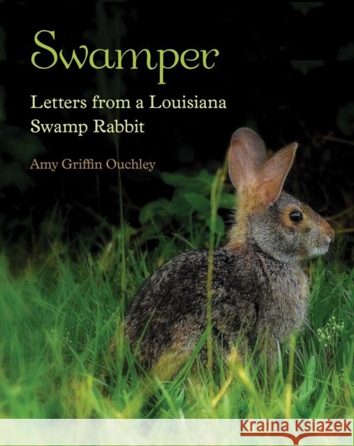 Swamper: Letters from a Louisiana Swamp Rabbit Amy Ouchley 9780807150740 Louisiana State University Press