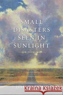 Small Disasters Seen in Sunlight Julia B. Levine 9780807154533 Louisiana State University Press