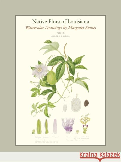 Native Flora of Louisiana Stones, Margaret 9780807170236 Louisiana State University Press
