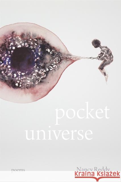 Pocket Universe: Poems Nancy Reddy 9780807175835