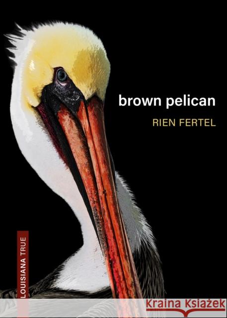 Brown Pelican Rien Fertel 9780807178461 LSU Press