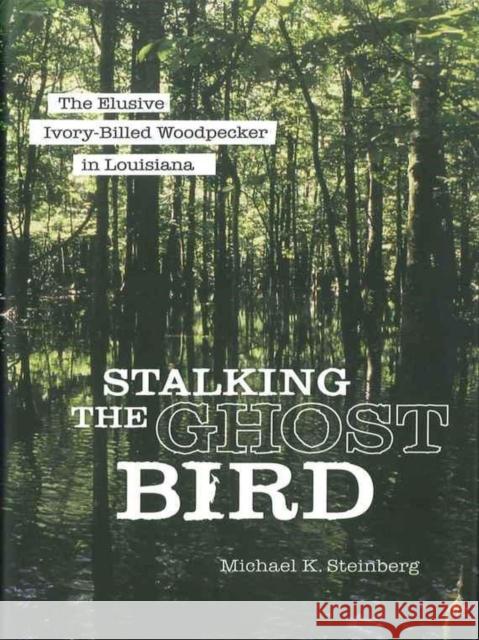 Stalking the Ghost Bird: The Elusive Ivory-Billed Woodpecker in Louisiana Michael K. Steinberg 9780807181744 Louisiana State University Press